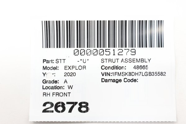 Image 13
