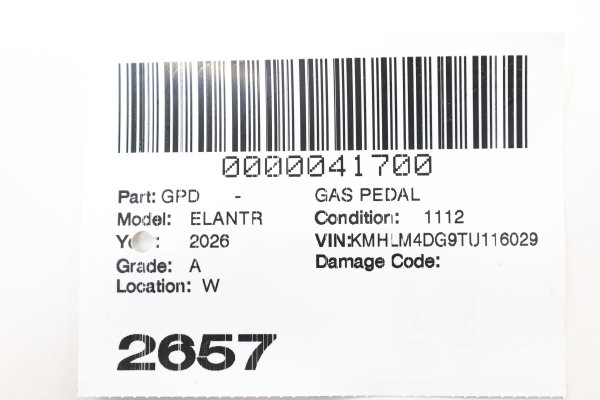 Image 12