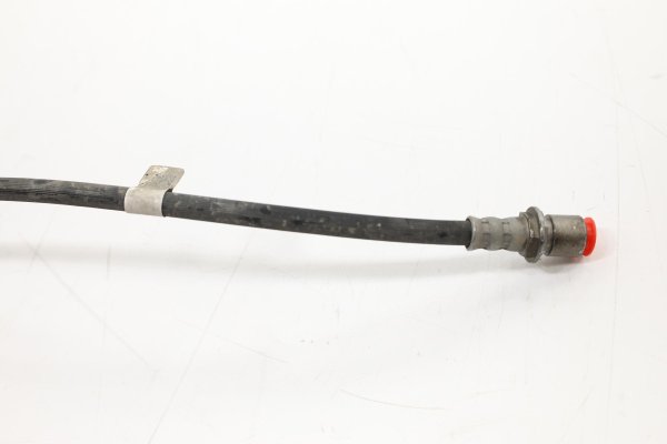 Image 13
