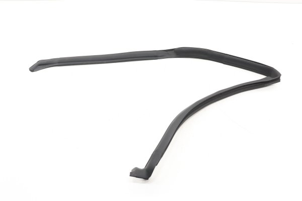 2018, 2019, 2020, 2021, 2022, 2023, 2024, 2025 Ford Expedition Door Window Rearward Seal Weatherstrip - Rear (OEM)