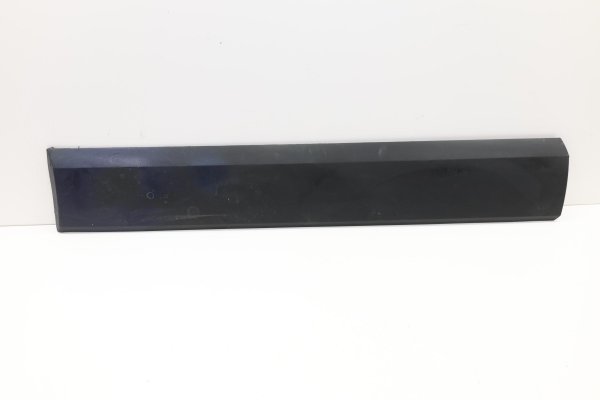 2019, 2020, 2021, 2022, 2023, 2024, 2025, 2026 Ford Transit-250 Door Molding - Lower Front, Left (Driver) (OEM)