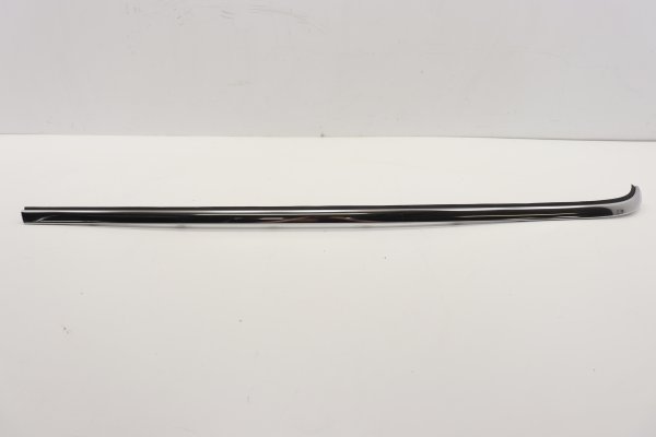 2018, 2019, 2020, 2021, 2022, 2023, 2024 Ford Expedition Door Belt Molding - Rear, Left (Driver) (OEM)