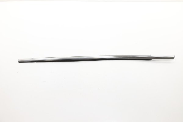 2013, 2014, 2015, 2016, 2017, 2018, 2019, 2020 Ford Fusion Door Belt Molding - Rear, Right (Passenger) (OEM)