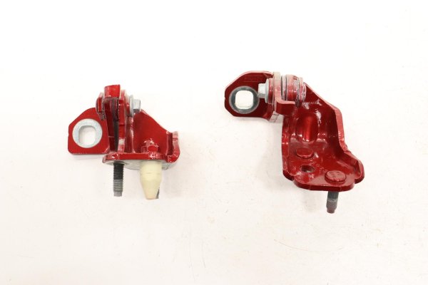 2020, 2021, 2022, 2023, 2024, 2025 Ford Explorer Red & Door Hinge Set - Upper and Lower Rear, Left (Driver) (OEM)