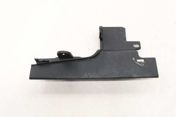 2015, 2016, 2017, 2018, 2019, 2020, 2021, 2022, 2023, 2024, 2025 Ford Transit-250 Door Sill Plate Trim Panel - Rear (OEM)