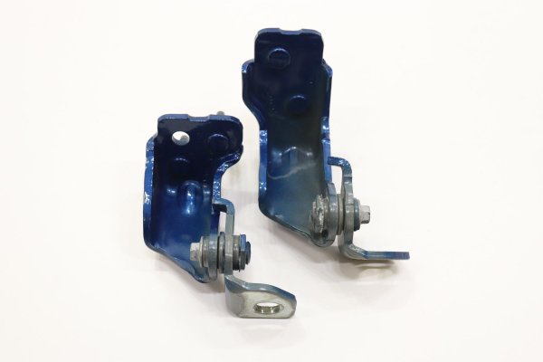 2015, 2016, 2017, 2018, 2019, 2020, 2021, 2022, 2023, 2024 Ford Edge Blue Door Upper and Lower Hinge Set - Rear, Left (Driver) (OEM)