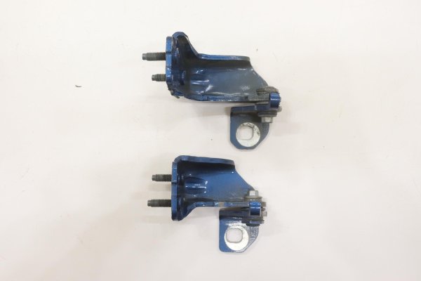 2015, 2016, 2017, 2018, 2019, 2020, 2021, 2022, 2023, 2024 Ford Edge Blue Door Hinge Set - Upper and Lower Rear, Right (Passenger) (OEM)