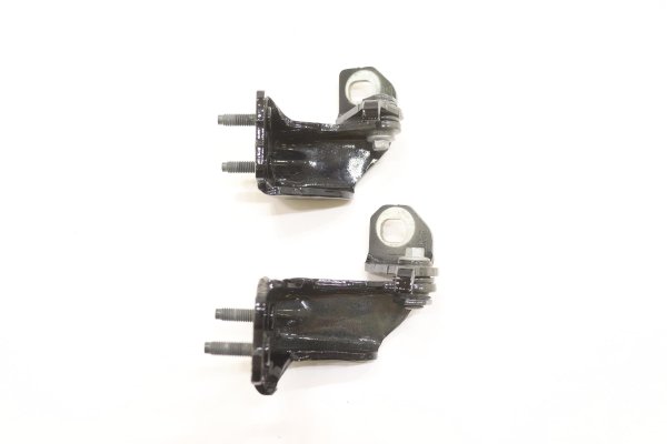 2015, 2016, 2017, 2018, 2019, 2020, 2021, 2022, 2023, 2024 Ford Edge Black Door & Hinge Set - Upper and Lower Rear, Left (Driver) (OEM)