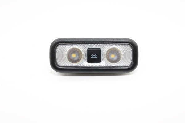 2019, 2020, 2021, 2022, 2023, 2024 Ford Edge Black Roof Dome Light - Rear (OEM)