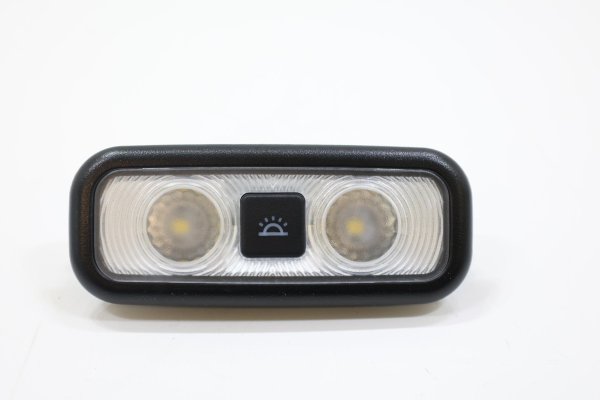 2018, 2019, 2020, 2021, 2022, 2023, 2024 Ford Expedition Reading Light - Rear (OEM)