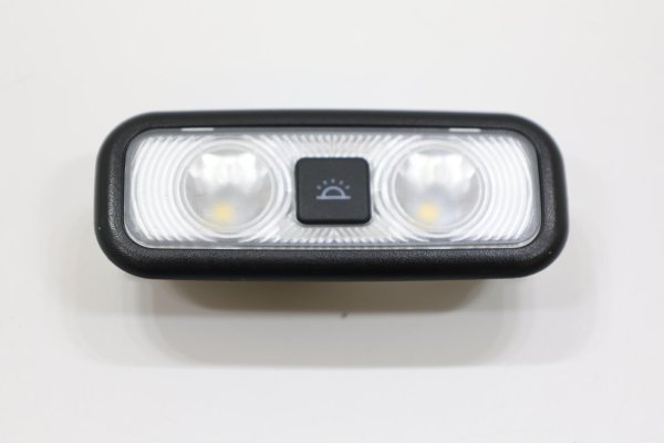 2018, 2019, 2020, 2021, 2022, 2023, 2024 Ford Expedition Black Reading Light - Rear (OEM)