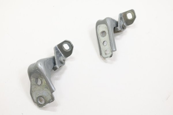 2015, 2016, 2017, 2018, 2019, 2020, 2021, 2022, 2023, 2024 Ford Edge Silver Door & Hinge Set - Upper and Lower Front, Left (Driver) (OEM)