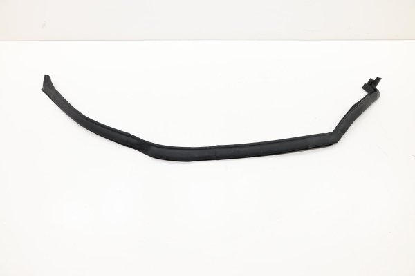 2018, 2019, 2020, 2021, 2022, 2023, 2024 Ford Expedition Door Belt Molding - Rear (OEM)
