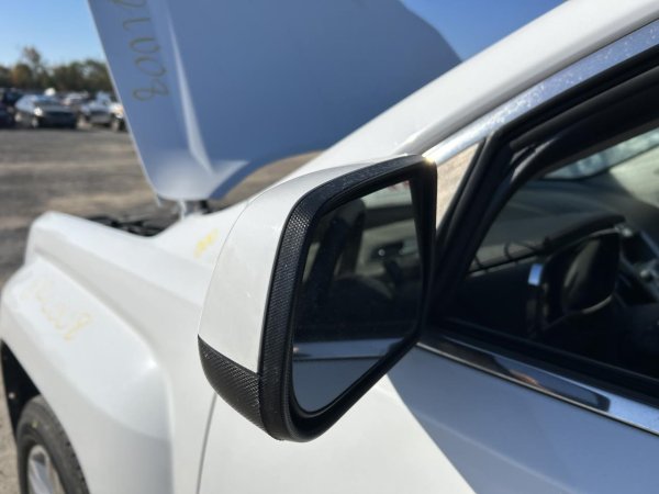 2010, 2011 Chevrolet Equinox Silver Power Door/Side View Mirror - Left (Driver) (OEM)