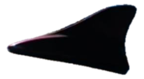 OEM Red Roof Mounted Antenna for 2011, 2012, 2013, 2014, 2015 Hyundai & Kia • Optima, Sonata