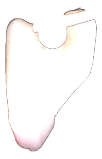 2004, 2005, 2006 Lexus ES330 Engine Coolant Reservoir (OEM)
