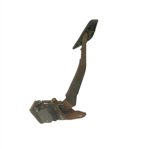 OEM Accelerator Pedal Assembly with Control Module for 2003, 2004, 2005, 2006 Cadillac, Chevrolet, GMC, & Hummer