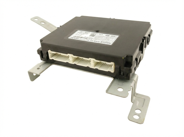 OEM Theft and Keyless Entry Control Module for 2014, 2015, 2016 Kia Forte