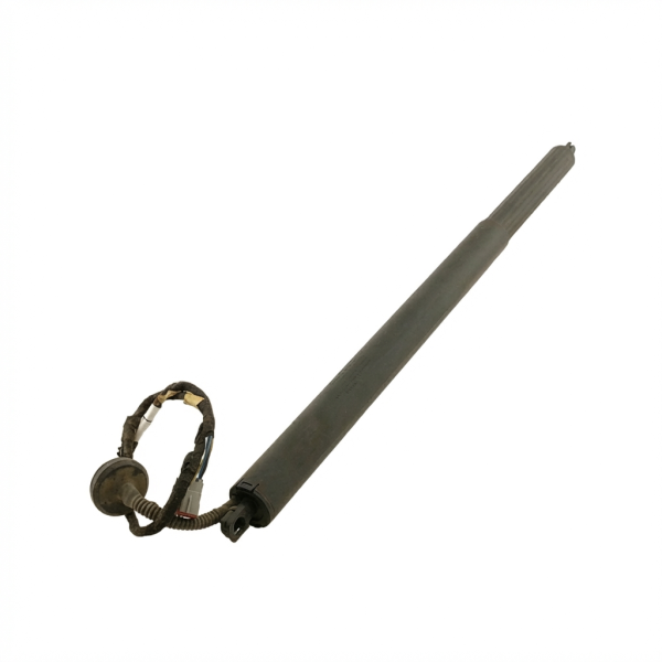 2020, 2021, 2022, 2023, 2024 Ford Escape Power Liftgate Strut (OEM)