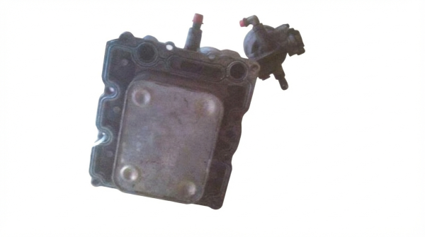 2003, 2004, 2005 Ford Excursion Engine Oil Filter and Cooler Assembly (OEM)