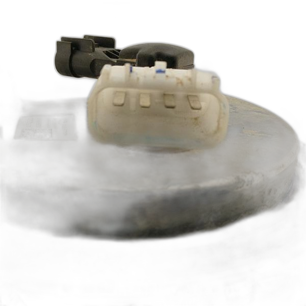 Image 5
