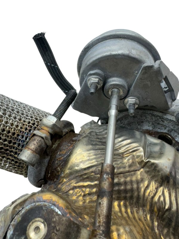 Image 12