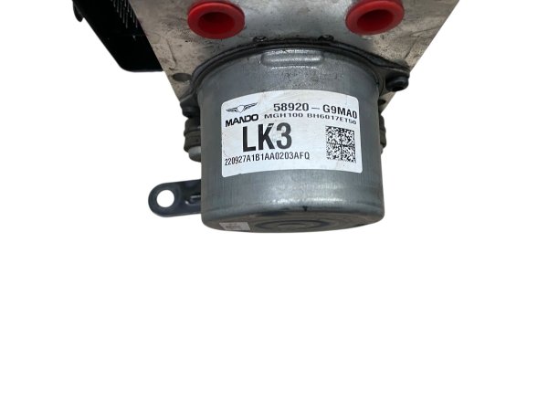 Image 7