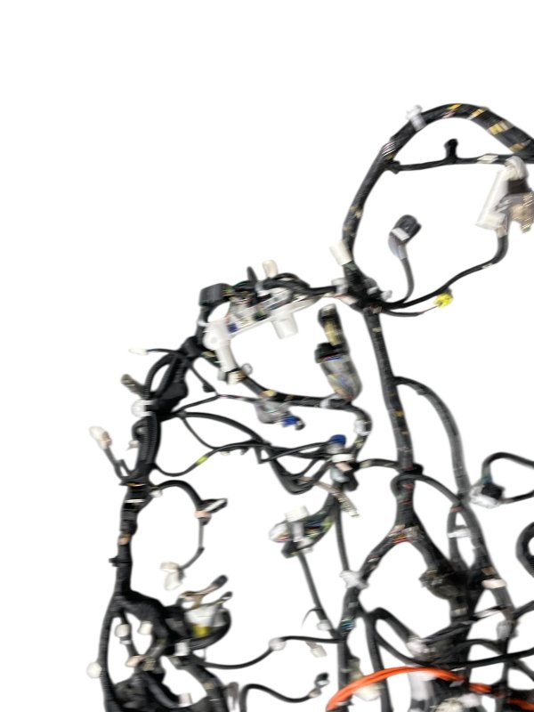 Image 16