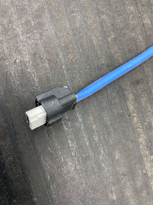 Image 6