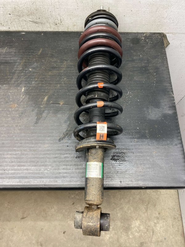 OEM Suspension Strut and Shock Absorber with High Ride Suspension for 2021, 2022, 2023, 2024, 2025 Ford - Rear, Left (Driver)