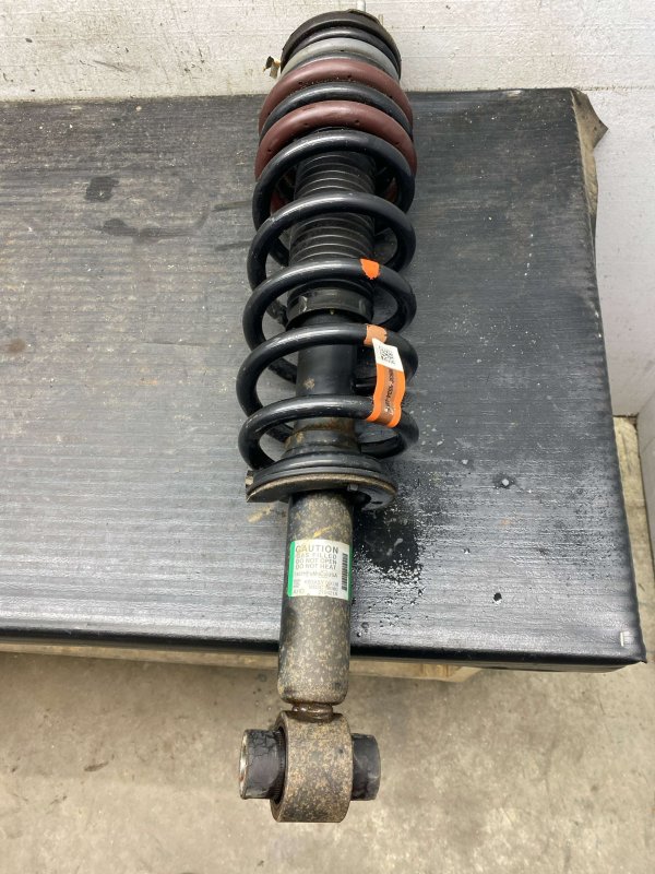 OEM Suspension Strut and Shock Absorber with High Ride Suspension for 2021, 2022, 2023, 2024, 2025 Ford - Rear, Right (Passenger)