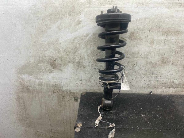 2018, 2019, 2020, 2021, 2022, 2023, 2024 Lincoln Navigator Suspension Shock Absorber - Rear (OEM)