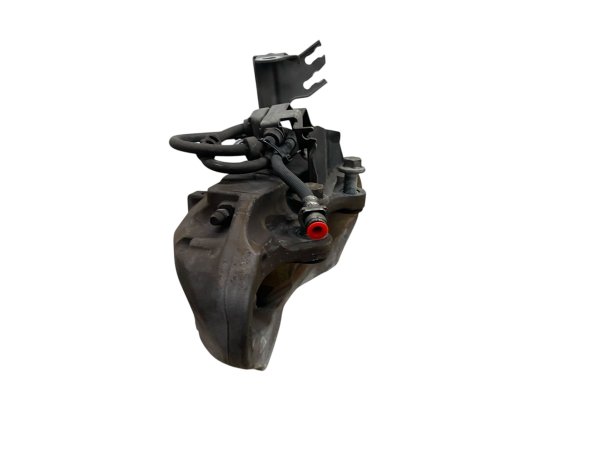 Image 11