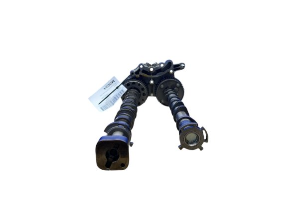 Image 7