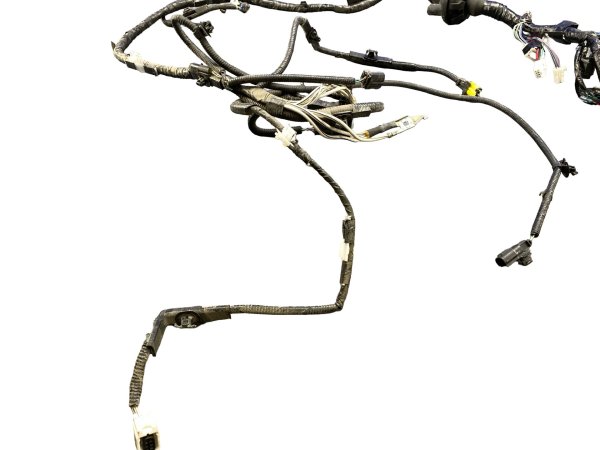 Image 12