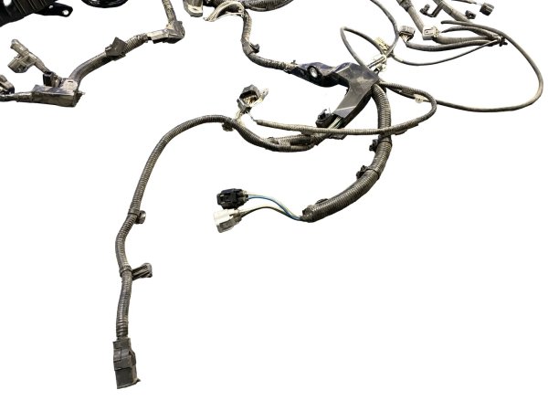 Image 15