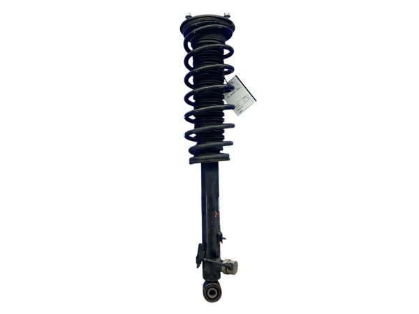OEM Suspension Strut and Coil Spring Assembly for 2018, 2019, 2020 Lexus LS500, LS500h - Rear, Left (Driver)