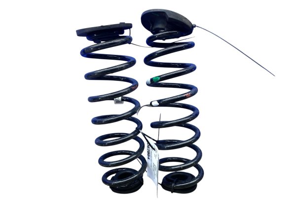 OEM Rear Suspension Coil Spring Set
