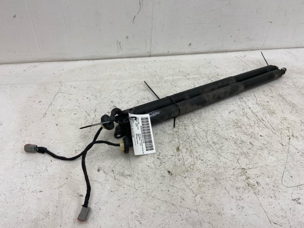 2020, 2021, 2022, 2023, 2024 Ford Explorer Power Liftgate Lift Support Strut - Rear (OEM)