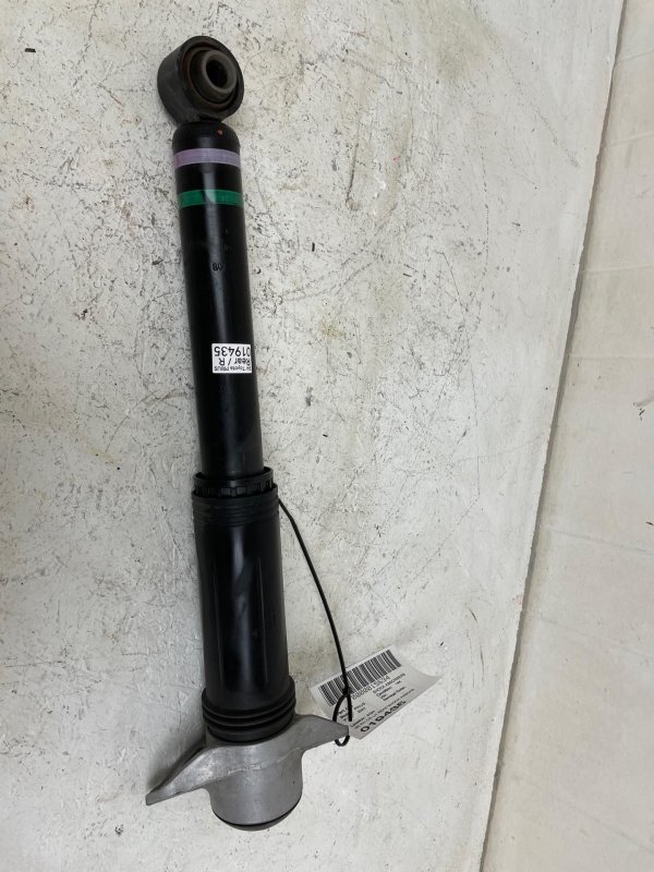 2023, 2024, 2025 Toyota Prius Suspension Shock Absorber - Rear (OEM)