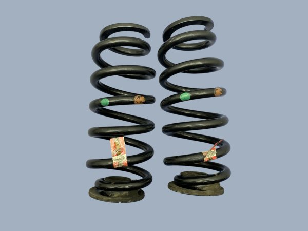 OEM Coil Spring Set for 2020, 2021, 2022, 2023, 2024, 2025 Lincoln Aviator - Rear
