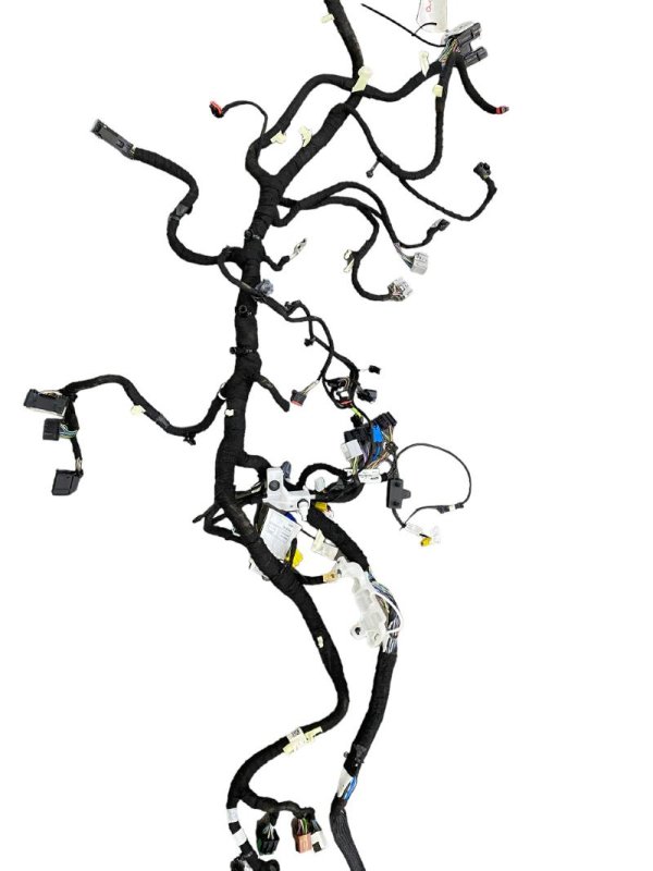 Image 8