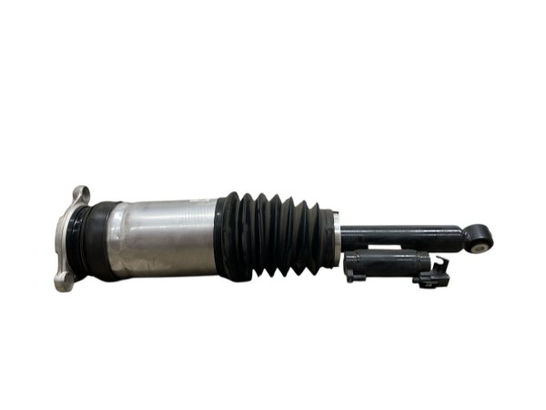 OEM Air Suspension Strut and Shock Absorber for 2021, 2022, 2023, 2024, 2025 Tesla S - Rear