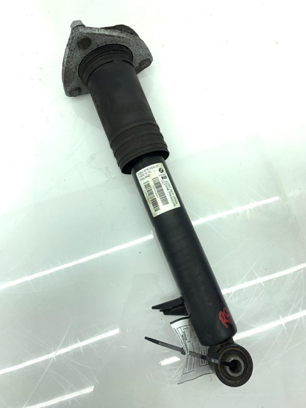 OEM Front Suspension Strut and Spring Assembly for 2017, 2018, 2019, 2020, 2021, 2022, 2023 Tesla 3 - Upper Lower Rear, Right (Passenger)