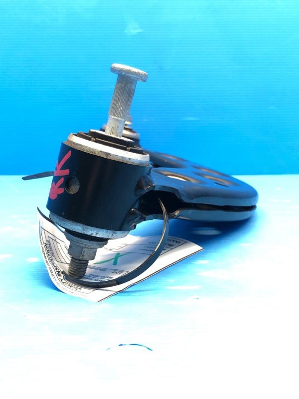 Image 5