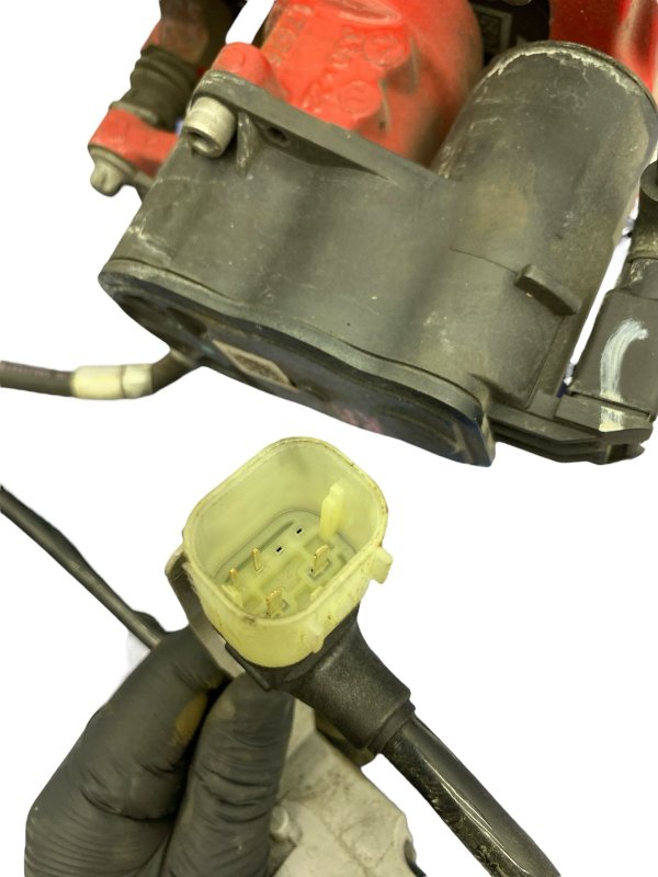 Image 11