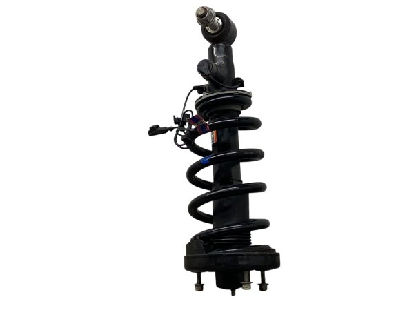 2022, 2023, 2024 Ford Expedition Sport Suspension Strut with CCD - Rear, Left (Driver) (OEM)