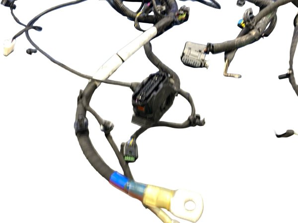 Image 6