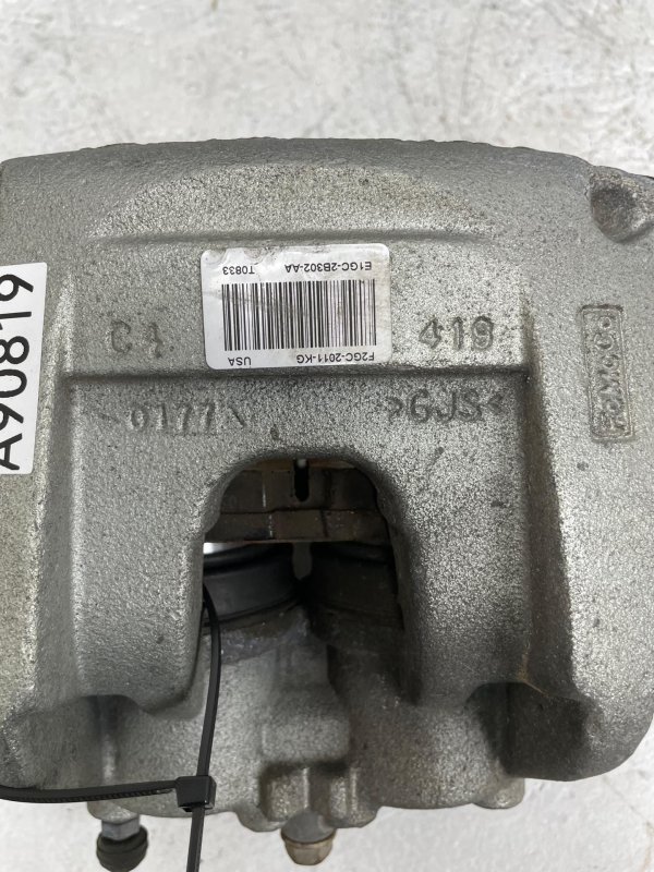 Image 5