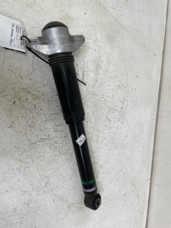 2023, 2024, 2025 Toyota Prius Suspension Shock Absorber - Rear (OEM)